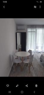 Tudor studio Mamaia Sat - Mamaia Sat/Năvodari - 8