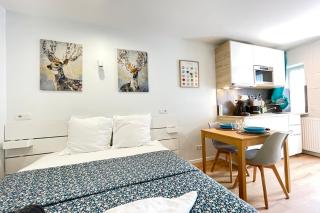M5 Cosy Massy proche Orly - Massy - 8