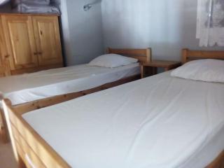 Les Iris , mazet 48 - 7