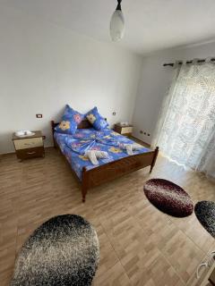 Vila Du Lac Blue - Pogradec - 8