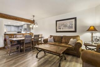 SK318 Silver King Ski Escape - 9