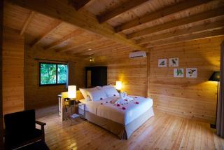 Mountbatten Bungalow- Thema Collection - Kandy - 3