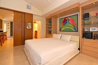 Maui Kaanapali Villas #D271 - 3