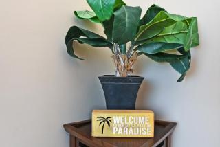 Mahana Resort #1204 - 7