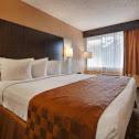 Best Western Executive Inn - Cairo - 5