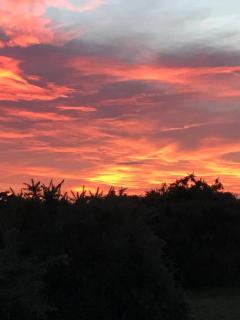 New Forest View - Beaulieu - 5