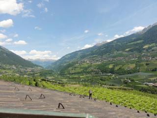 Garni Schneeburghof - Dorf Tirol - 4