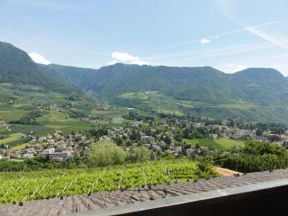 Garni Schneeburghof - Dorf Tirol - 3