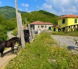 Colle del Faggio Nature Home - Cassego - 0