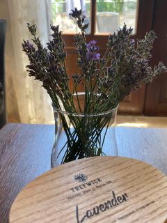 DomaineRossignol Lavande - 2