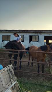 Maddy Appartamento - Porto Viro - 9