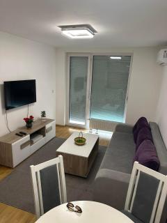 Luxury apartments - Otoka Sarajevo - Sarajevo - 8
