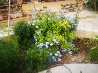 Chez Ramses - Marsiglia - 7