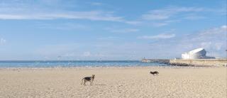 Maria Sardinha_As Três Marias - 3