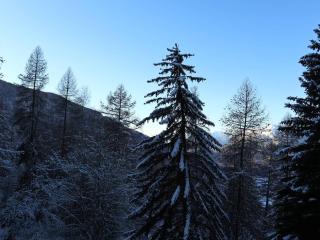 Studio cosy avec balcon, skis aux pieds, parking et proche de tout - FR-1-322-528 - Les Orres - 2