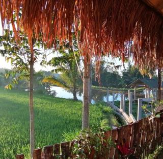 Bunga Maliq Bungalow Lombok - Tetebatu - 8