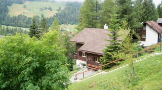 5 room house Joch Churwalden- Lenzerheide - Churwalden - 4