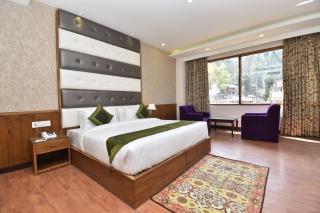 Banyan hotel&restro - 9