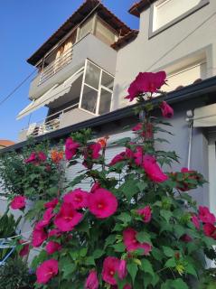 Nikoshouse apartment paralia ofriniou - Ofrínion - 8