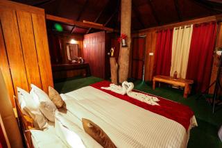 Nature Zone Jungle Resort - Munnar - 1