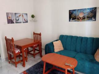 Zuriel Homes 1 Bedroom apartment - Kakamega - 7