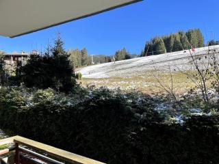 Très beau T1 refait à neuf - Les Gets - 8