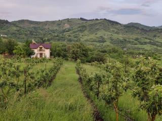 Deleni Retreat - Bungalow Ania - - 8