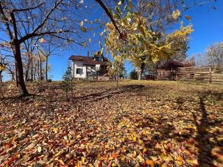 Deleni Retreat - Bungalow Ania - - 7