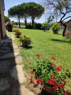 CASA INDIPENDENTE con giardino-min 3 notti - Castiglione del Lago - 3