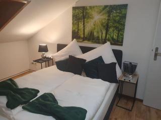 Waterfalls Apartment - Triberg im Schwarzwald - 0