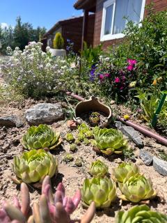 Las cabañas de Tino - 2