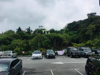 Lily Haven Hotel C-1 - Tanah Rata - 8
