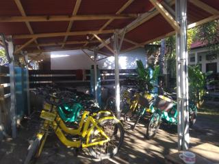 Ping Pong homestay Gili Trawangan - 1