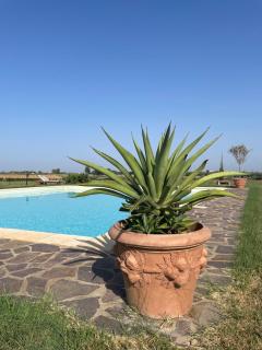 THE RANCH Apartment 3 Capalbio - Pescia Romana - 6