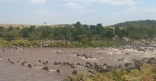Elephant trails camp - Sekenani - 2