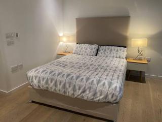 Entire Studio Apartment in Central London SE1 - Londra - 2