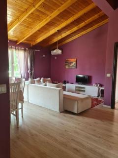 Penthahouse Shallvare - 6