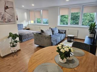 Malūnininkų apartamentai - Klaipėda - 0