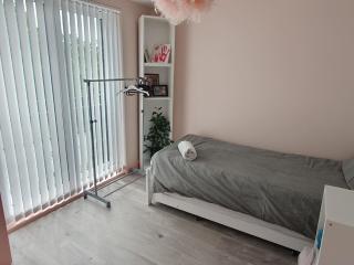 Beautiful guest rooms, Free Parking, 30min Heathrow, 40min Wembley, 60min Central London - Greenford - 1