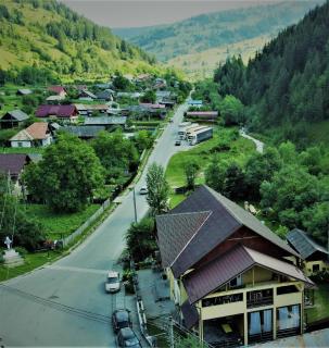 Pensiunea Sorina Deea - 9