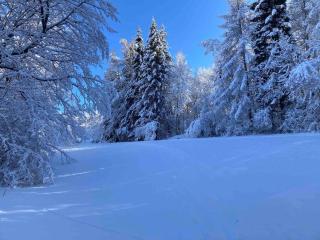 Gîte « Le Faucon pèlerin » Vue magnifique au calme - Le Lautaret - 1