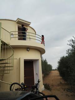 Thar Olive Cottages Pilani - Pilani - 1