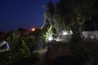 Hidden Olive Oasis - Bar - 7