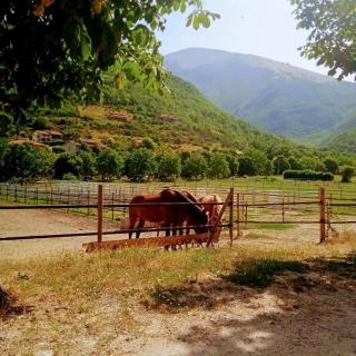 Bed&breakfast La Badia - Cantiano - 4