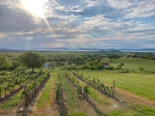 Wine & Space Lodge at Lake Balaton - Balatonlelle - 3