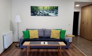 Studio Mountain View - Sinaia - 4