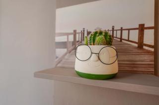 Zamboni 58 apartment - Zona movida - 5