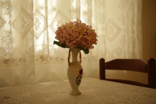 La Casa di Nonna - Qeparo - 6