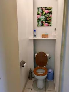 Kaz Alpinia - Garnier - 3