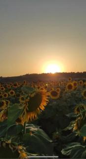 Europalace Hotel Todi - 8